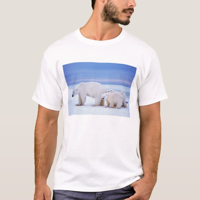 T-shirt Ursoa-polar com filhotes (Frente)