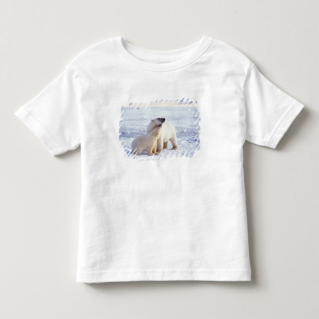 T-shirt Ursoaica com filhote, matilha (Frente)