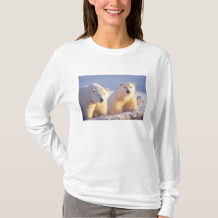 T-shirt Ursoaica com filhote no gelo da banquisa