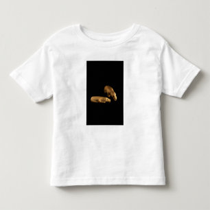 T-shirt Ursos polares do Inuit, 14o - século XV