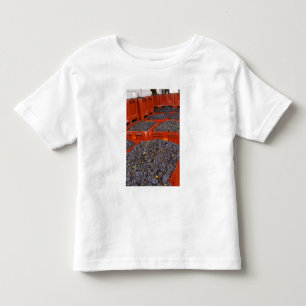 T-shirt Uvas Gamay recém-chegadas da colheita na