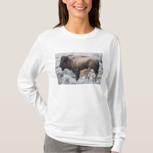 T-shirt Vaca Amamentando Bezerro de Bisonte, Yellowstone