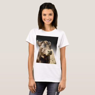 T-shirt Vaca Marrom Mastigando Feno,