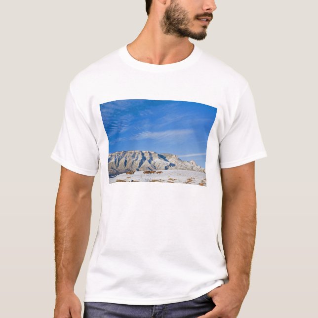 T-shirt Vaqueiros com Rebanho de Cavalos (Frente)