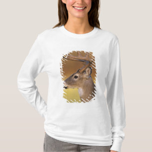 T-shirt Veado-de-cauda-branca, Odocoileus virginianus,
