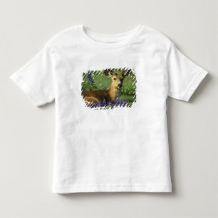 T-shirt Veado-de-cauda-preta, Odocoileus hemionus