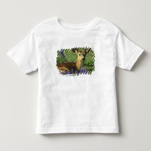 T-shirt Veado-de-cauda-preta, Odocoileus hemionus (Frente)