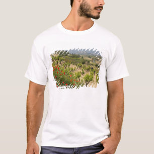 T-shirt Vinhas perto de Laguardia, capital de La Rioja