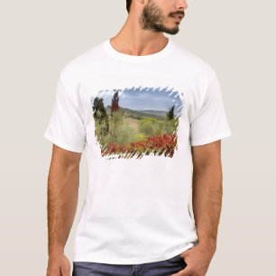 T-shirt Vinícola perto de Montalcino, Toscana, Itália