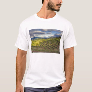 T-shirt Vinícola. Vale de Napa. Napa. Condado de Napa,