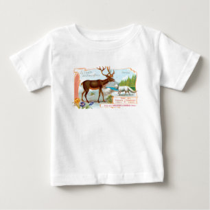 T-shirt Vintage Cariou (Reindeer) e Raposa Árctica