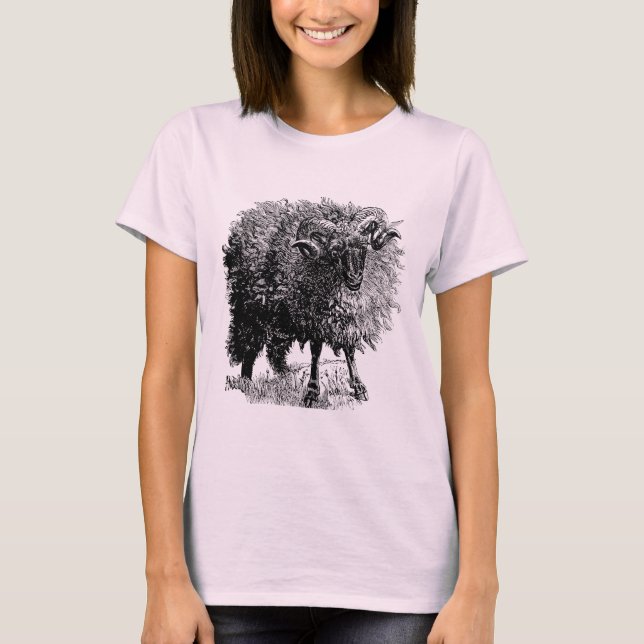 T-shirt Vintage Sheep (Frente)