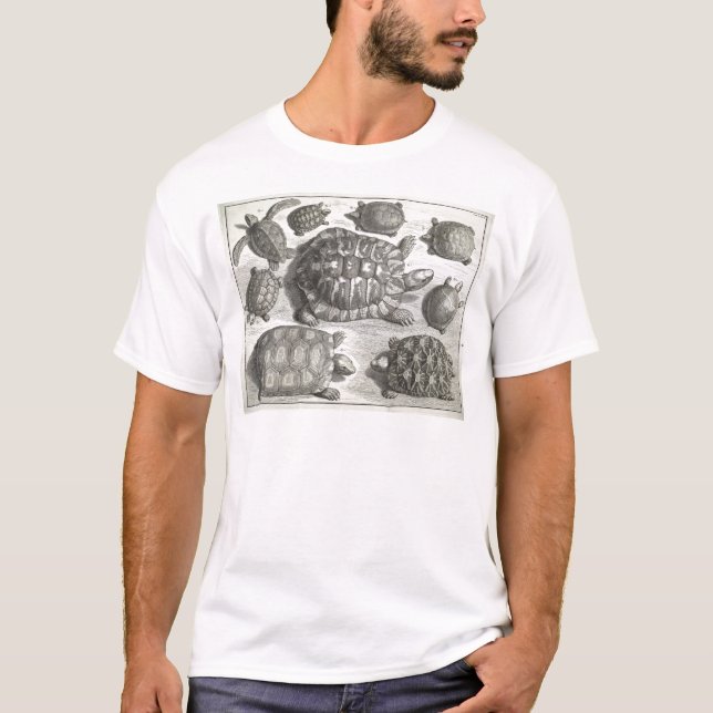 T-shirt Vintage Turtle Etching (Frente)