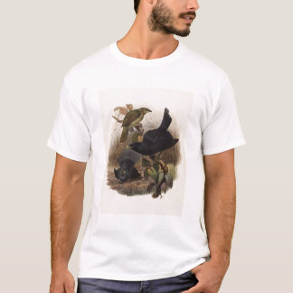 T-shirt Violaceus de Elliot - de Ptilorhynchus -