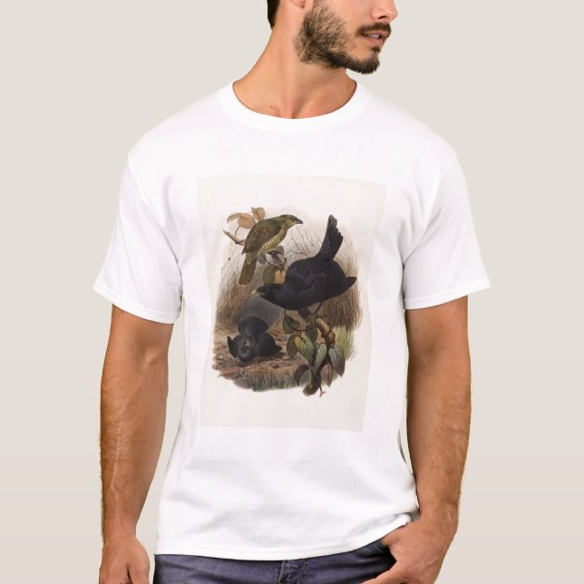 T-shirt Violaceus de Elliot - de Ptilorhynchus - (Frente)