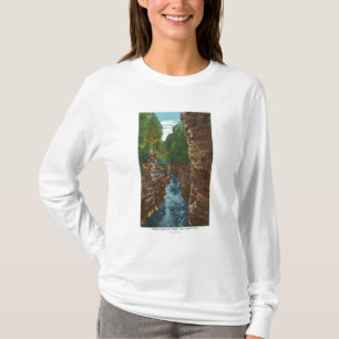 T-shirt Vista abaixo da falha de Ausable da caverna de