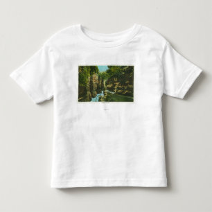 T-shirt Vista da falha de Ausable