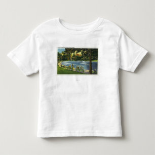 T-shirt Vista da lagoa comum do sapo de Boston