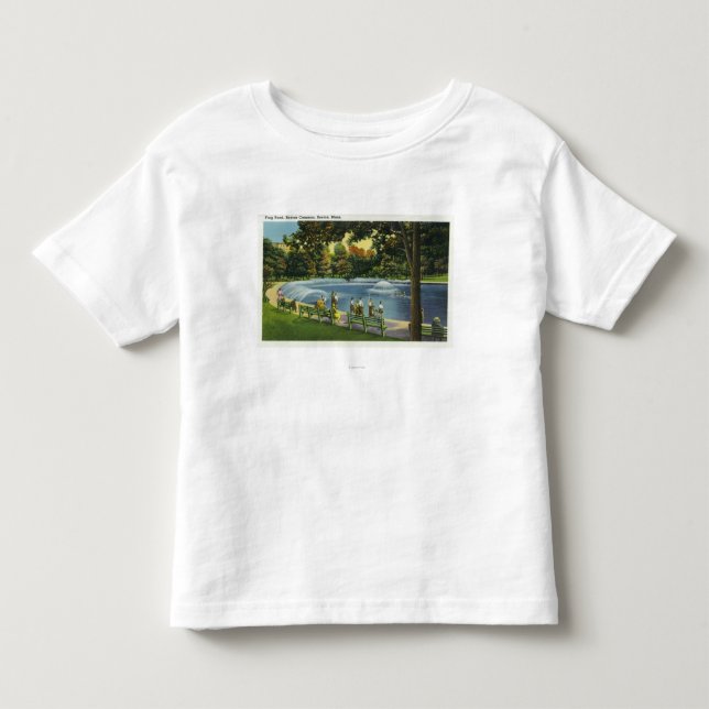 T-shirt Vista da lagoa comum do sapo de Boston (Frente)