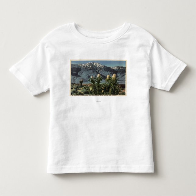 T-shirt Vista de Mt. San Jacinto, mandioca Mohavensis (Frente)