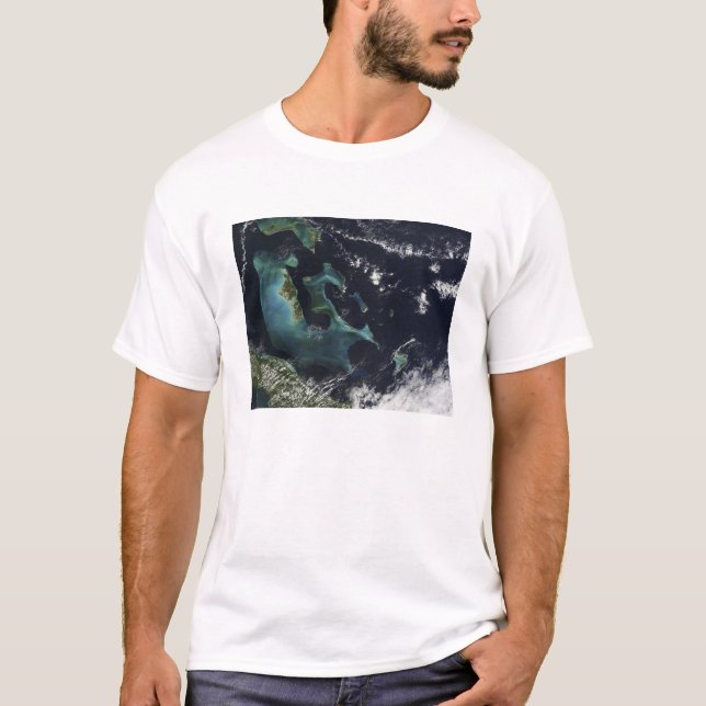 T-shirt Vista de satélite das Ilhas Bahama (Frente)