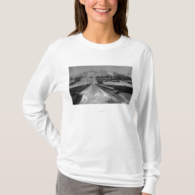 T-shirt Vista de Seward, Alaska da ponte Photograp (Frente)