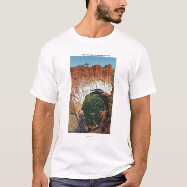 T-shirt Vista do arco do Victorian (Frente)