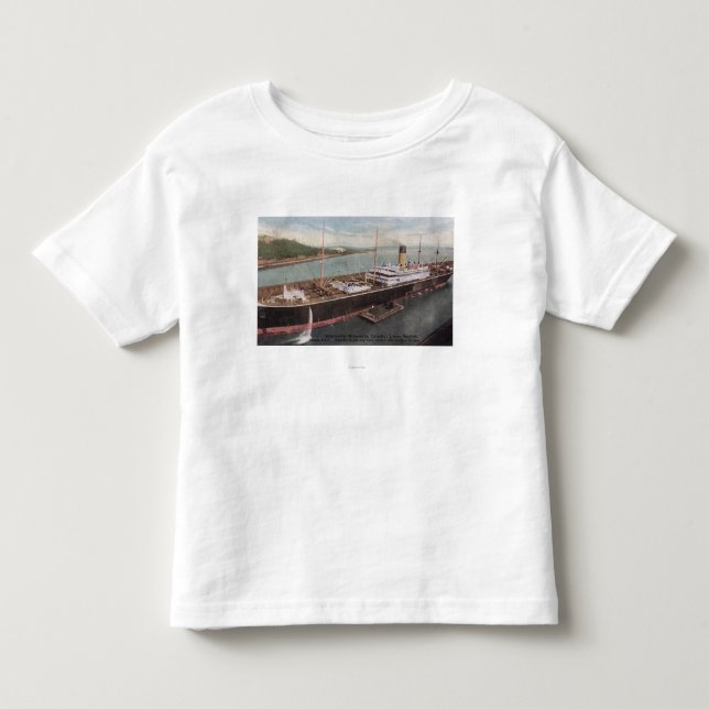 T-shirt Vista do forro oriental Minnesota (Frente)