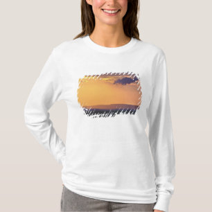 T-shirt Vista panorâmica de uma única árvore acácia em