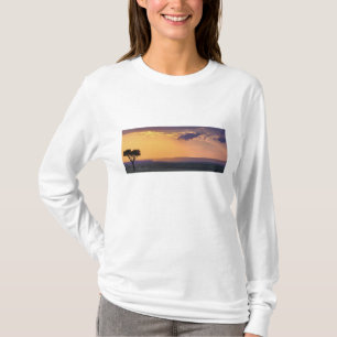 T-shirt Vista panorâmica de uma única árvore de acácia em