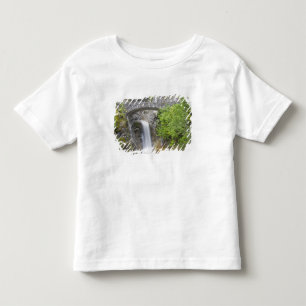 T-shirt WA, Parque Nacional Mount Rainier, Christine Falls