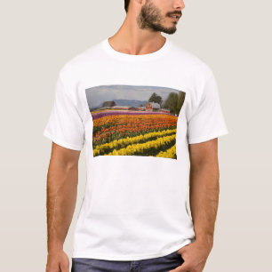 T-shirt WA, Vale de Skagit, Campos de tulipas em flor, em