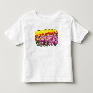 T-shirt WA, Vale do Skagit, Jardim de Tulipas Roozengaarde
