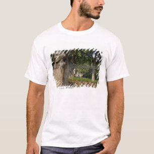 T-shirt Washington, DC, estátua de George Washington, O