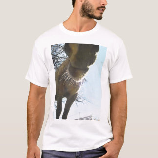t-shirt whiskery do nariz do cavalo