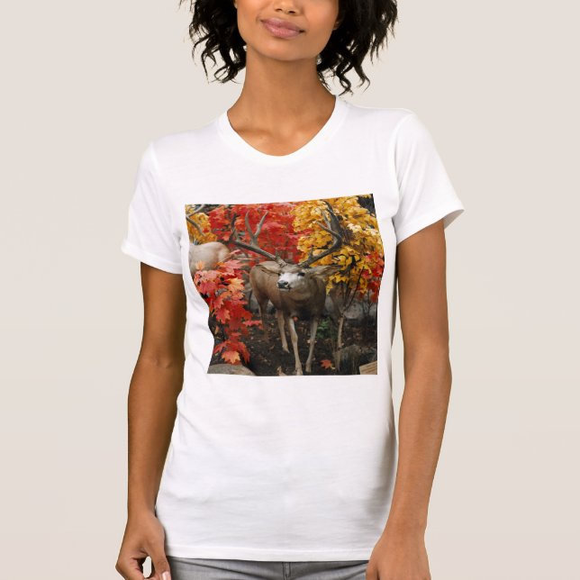 T-shirt Whitetail No Outono (Frente)