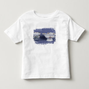 T-shirt Worcester deram forma ao barco de molho oval e