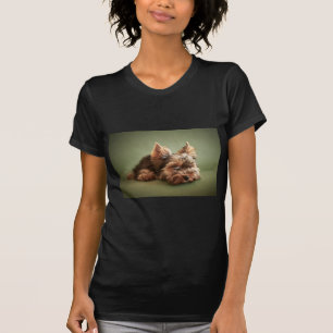 T-shirt Yorkshire terrier