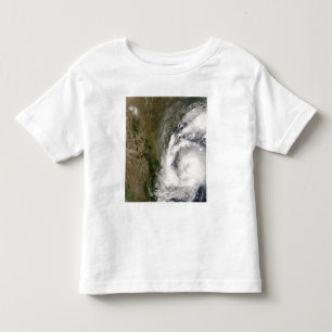 T-shirt Zorra tropical da tempestade