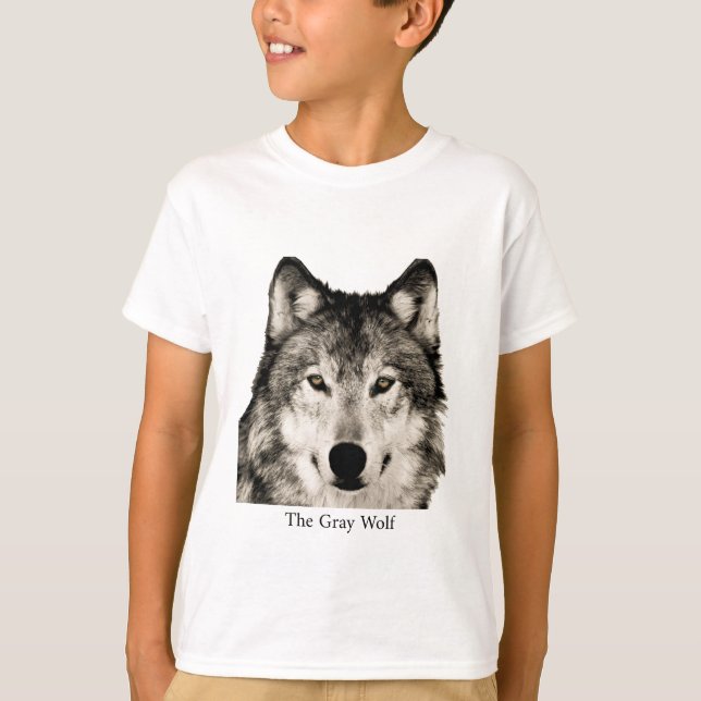 T-Shirts (Frente)