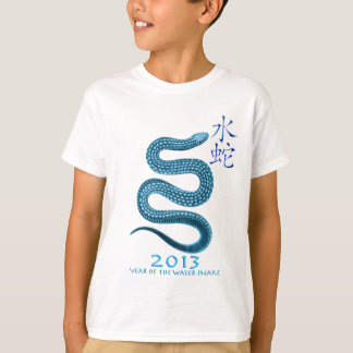 T-SHIRTS 2013