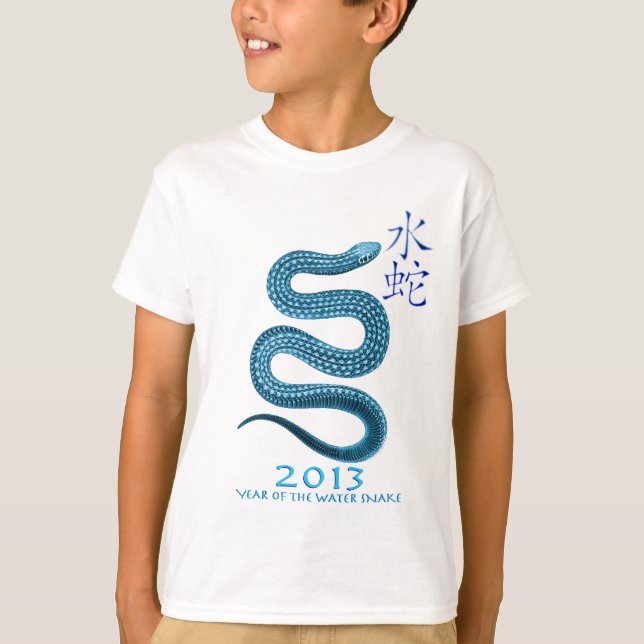 T-SHIRTS 2013 (Frente)