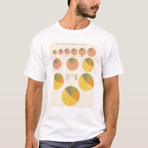 T-shirts 42 população, elementos 1790-1900