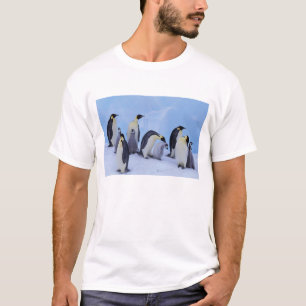 T-shirts A Antártica, pinguim de Emporer ((Aptenodytes