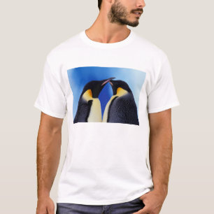 T-shirts A Antártica, pinguim de imperador (Aptenodytes 2