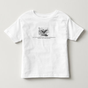 T-shirts A ascensão de Phoenix de suas cinzas