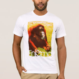 T-shirts A barba de Merlin