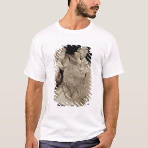T-shirts A cabra Amalthea, c.1615