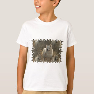 T-shirts A camisola das crianças da raça do cão do Samoy