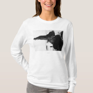 T-shirts A duquesa Rocha em Newport, Oregon